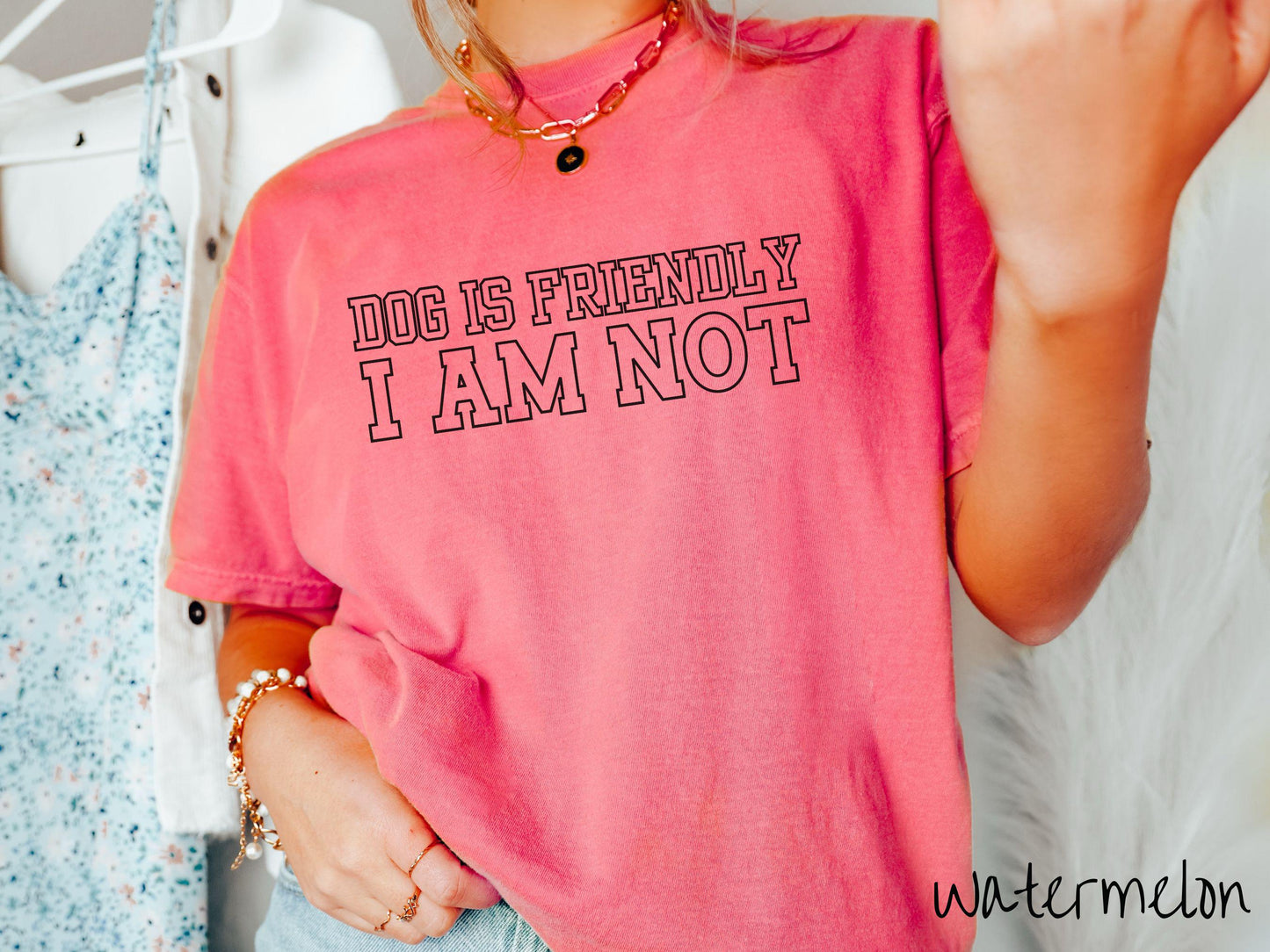The Dog is Friendly I am Not Comfort Colors Tee-shirt, Gift This Dog Friendly Tee-shirt to the Dog Owner in Your Life!