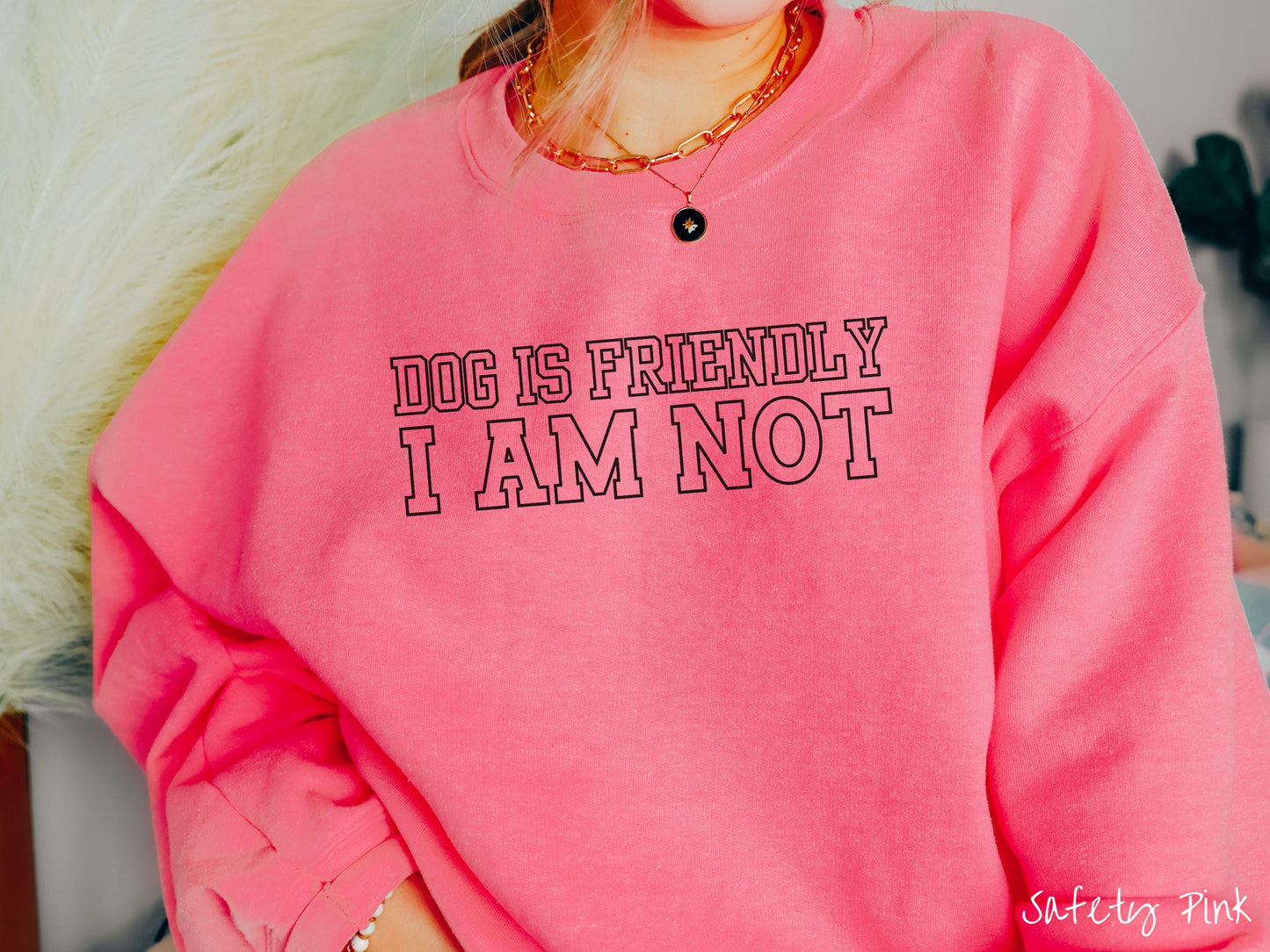 The Dog is Friendly I am Not Gildan Sweatshirt, Gift This Dog Friendly Sweatshirt to the Dog Owner in Your Life!
