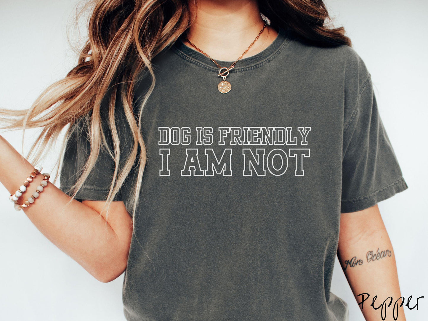 The Dog is Friendly I am Not Comfort Colors Tee-shirt, Gift This Dog Friendly Tee-shirt to the Dog Owner in Your Life!