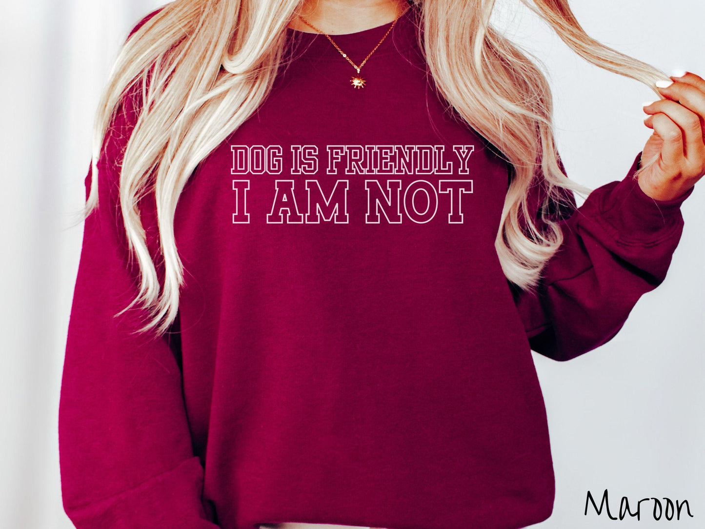 The Dog is Friendly I am Not Gildan Sweatshirt, Gift This Dog Friendly Sweatshirt to the Dog Owner in Your Life!