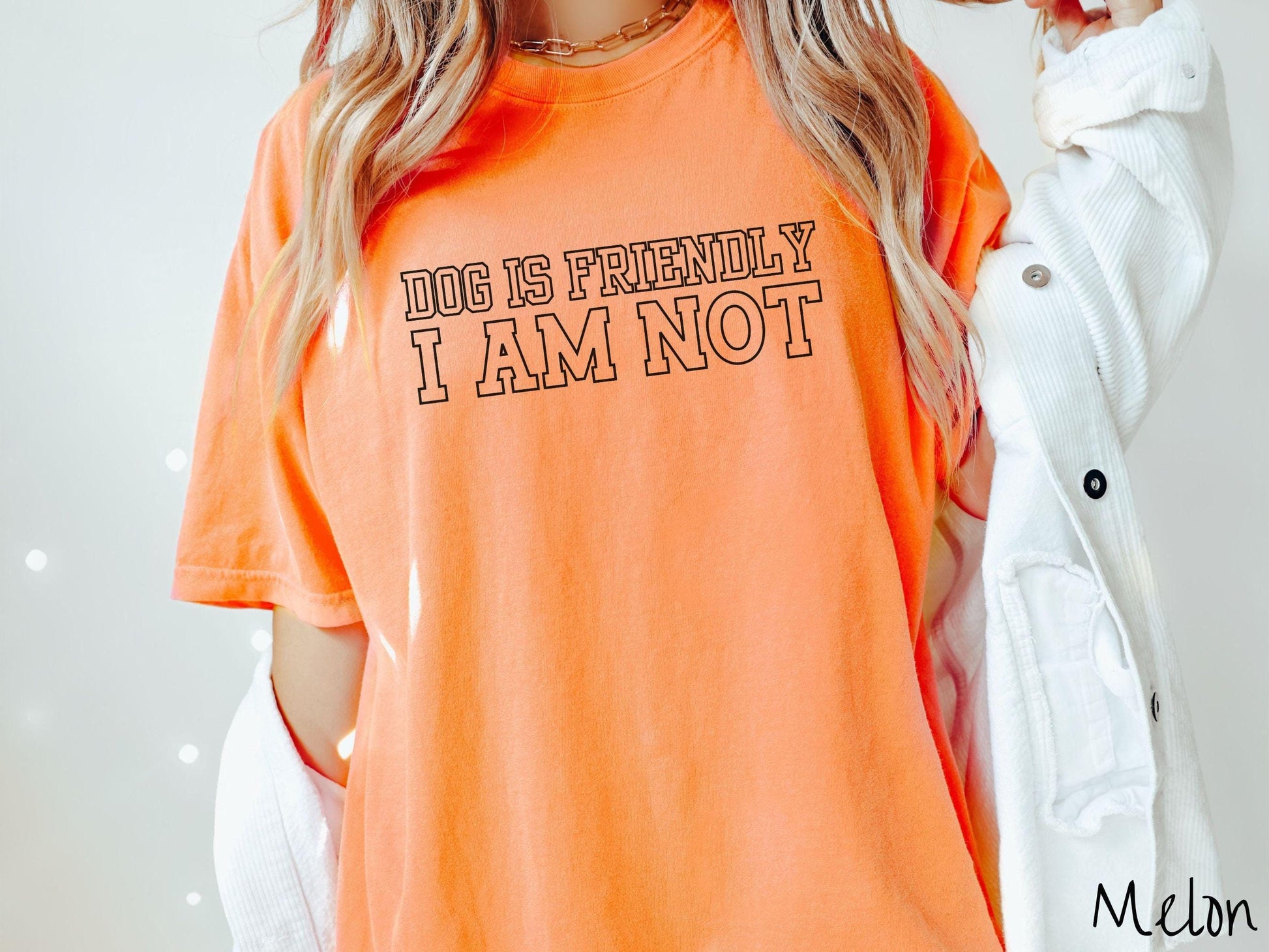 The Dog is Friendly I am Not Comfort Colors Tee-shirt, Gift This Dog Friendly Tee-shirt to the Dog Owner in Your Life!