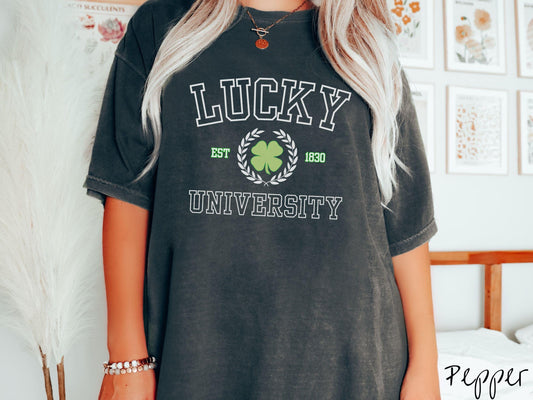 The Lucky University Varsity Comfort Colors Shirt, St Patrick's Day College Tee, Vintage Varsity St Patty's Day Tshirt, Varsity Letter Lucky